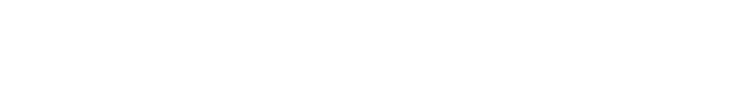 DiamondLab logo white